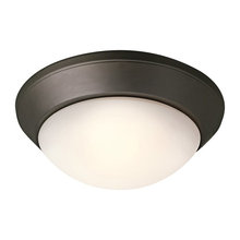ceiling light