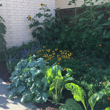 Community Gardens