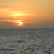 Paul Jensen's photo