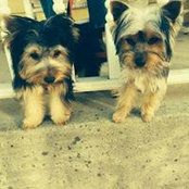 Linda Shipley-Maxwell's photo