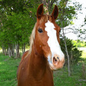 Stephanie Gregory's photo