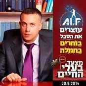 Photo de Tal Nevo