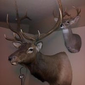 Mark Butler's photo