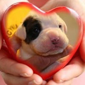 Maryanne Scivoletti's photo