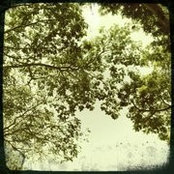 Gaius Liang's photo