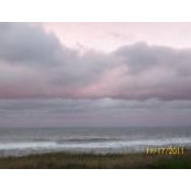Susan Meade's photo