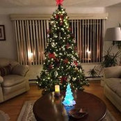 Tricia Eaton's photo