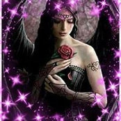 Gina Cross's photo