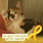 Fiona Orr's photo