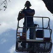 Justin Readhead's photo
