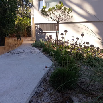 Jardín residencial en la Costa Atlantica
