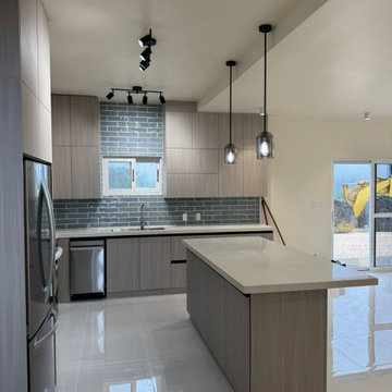 Kitchen Sink Side Cabinet & Pantry Storage Customization