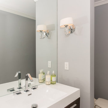 Potomac, MD Transitional Master Bath and House Reno