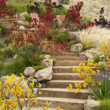 Garden Colours