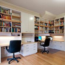 Vesna’s Study