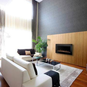 Electric Fireplaces