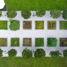fruit garden ideas
