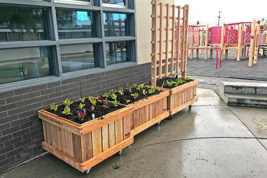 Vertical RollingPlanter