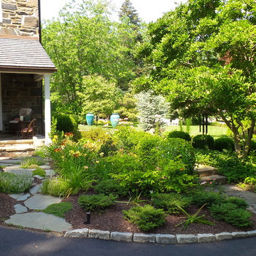 Back door planting beds