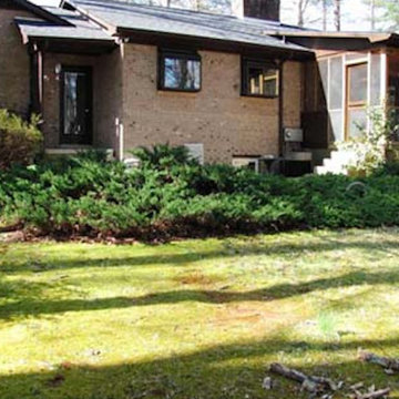 Custom Landscapes