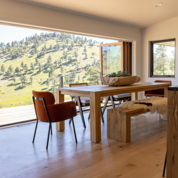 NoBo Remodel - Dining Room