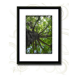 Botanical Series - Artwork