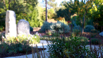 Woodsy Outdoor Living