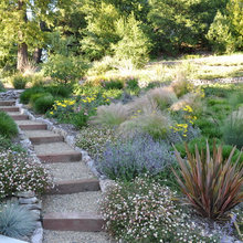 Property hardscape