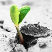 Deborah Finotti's photo