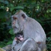 Dawn Villela's photo