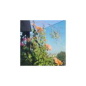 Camille Webre's photo