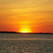 Cris Signorelli's photo