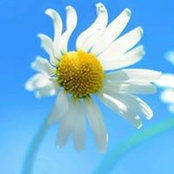 Melani Robinson's photo