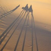 Rachael Neumann's photo
