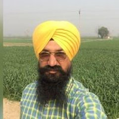 Dhammi