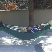 Mark Sinnreich's photo