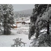 Joshua Tamminga's photo