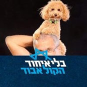 Photo de Zvi Lahav