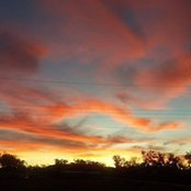 Terri Buck's photo