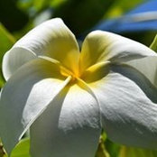 Robert Ames's photo