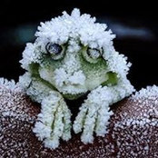 Foto von Aileen Hankin