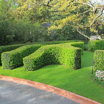 Staub Renaissance Garden Jasmine Hedge