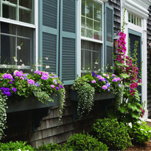 flowerboxes