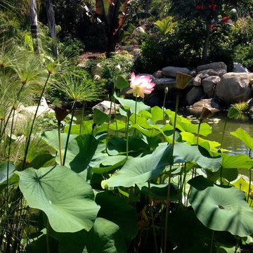 Paradise in Santa Barbara