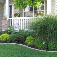 Front yard landscaping