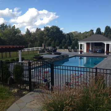 Pool Design Ideas