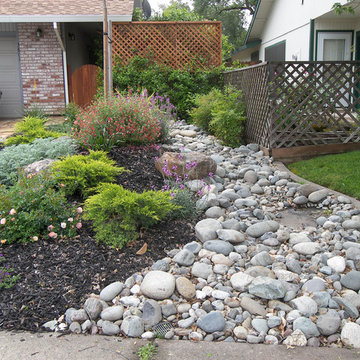 After - No Lawn