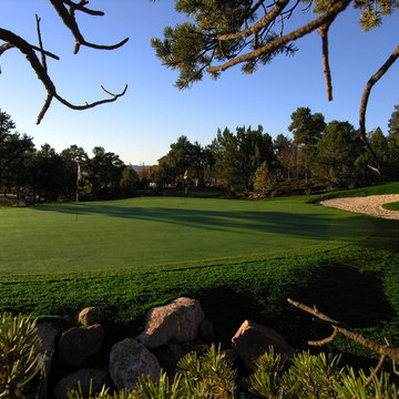 Large Artificial Putting Green Near Colorado Springs