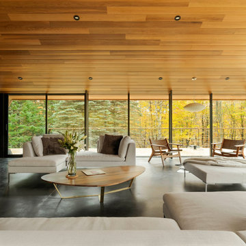 Modern Ski Home