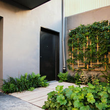 Landscape Ideas